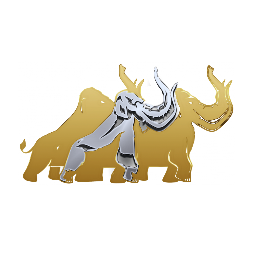 SCANDIC Group – Logo